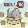 这不是推箱