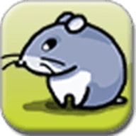 老鼠迷宫中文版