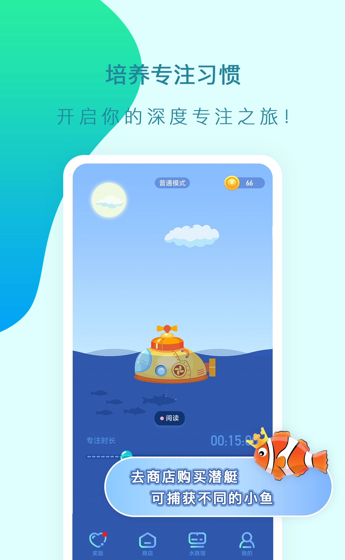 小鱼专注1