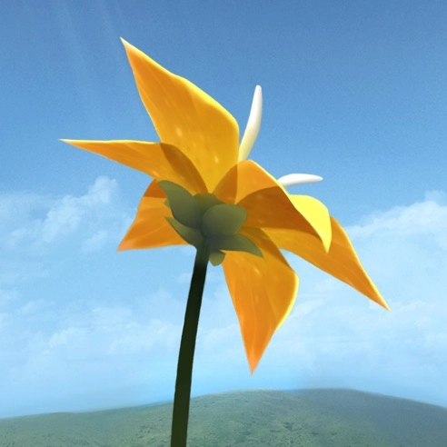 flower汉化版 