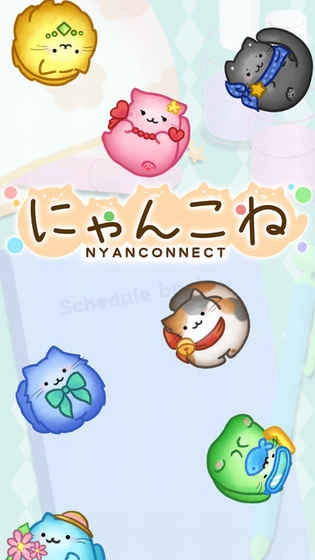 猫咪连结图4