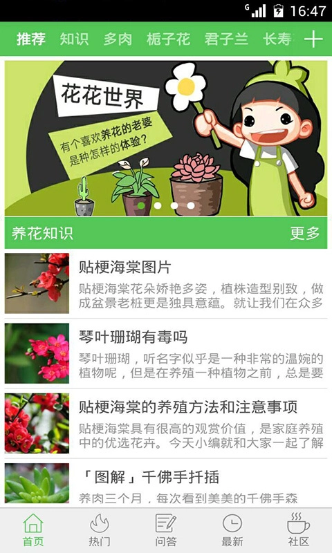 花卉大全图3