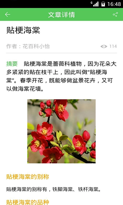花卉大全图5