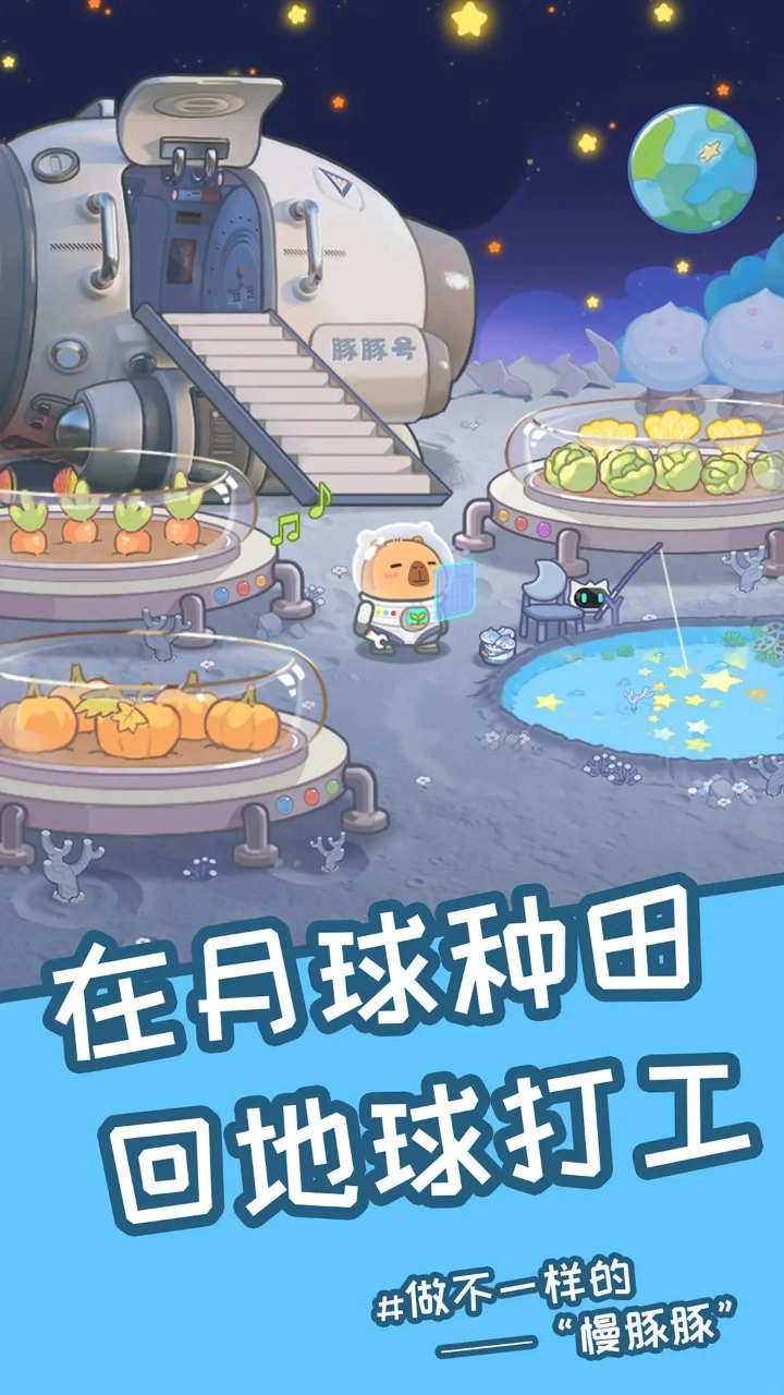 慢豚豚的生活2026安卓版图3