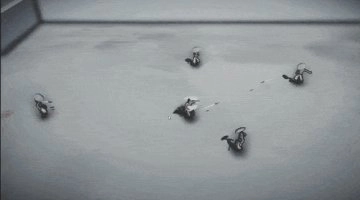 无极道人最新版3