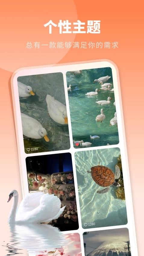 酷琪壁纸免费版