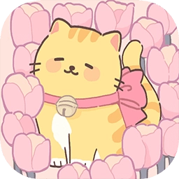 我的猫系男友