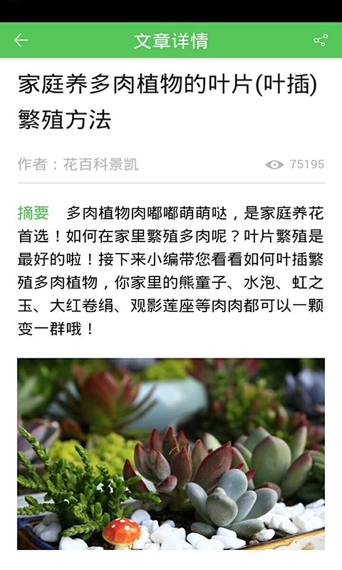 花卉大全图4