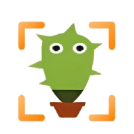 扫描仙人