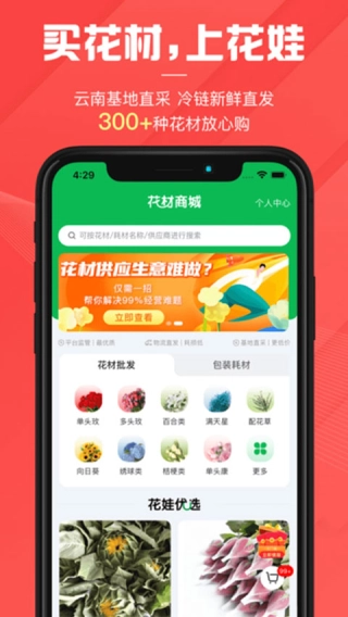 花娃图2