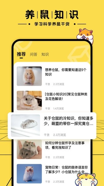 仓鼠日记图3