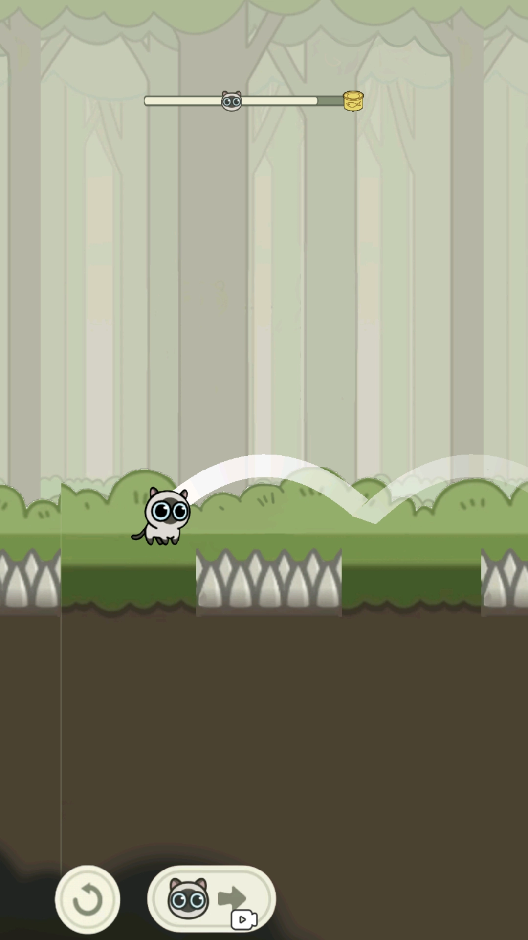 丛林冒险猫游戏(3)