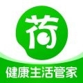 荷叶问诊
