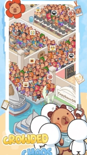 卡皮生活图3