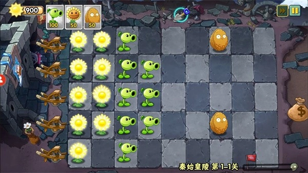 植物大战僵尸wenhua版