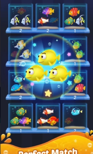 鱼类分类终极3D水族馆(2)
