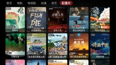 Wocflix图2