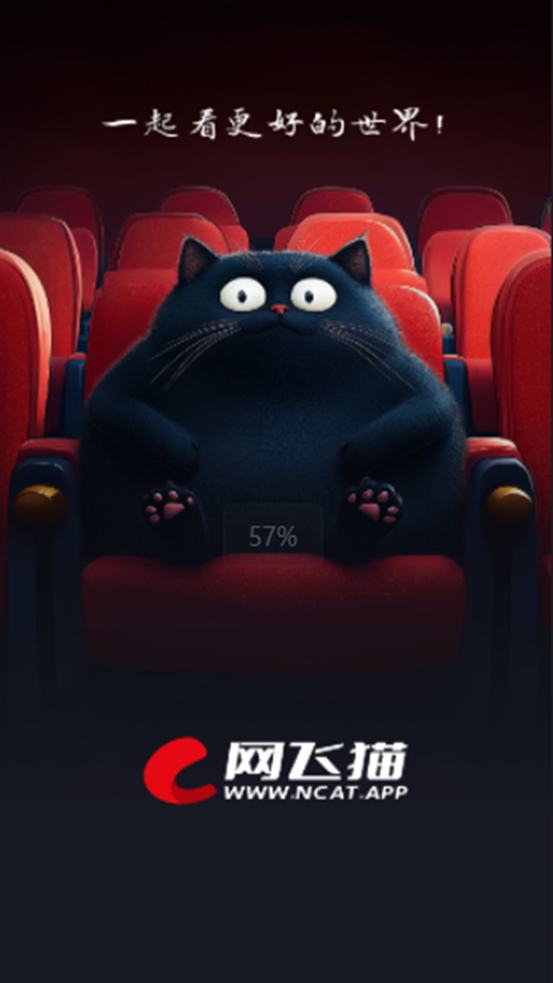 网飞猫追剧纯净版图5