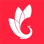 巅峰减重正版
