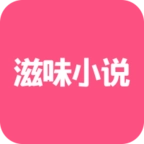 滋味小说