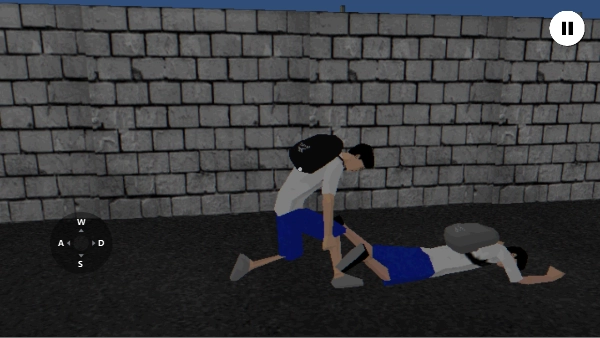 皮卡布宁静的夜晚(皮卡布平安夜)(4)