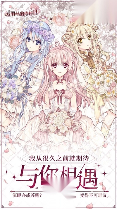 爱丽丝的衣橱国际服