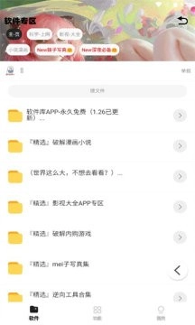 倾城软件库最新版截图3
