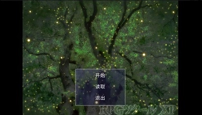 维洛卡之地正版(2)