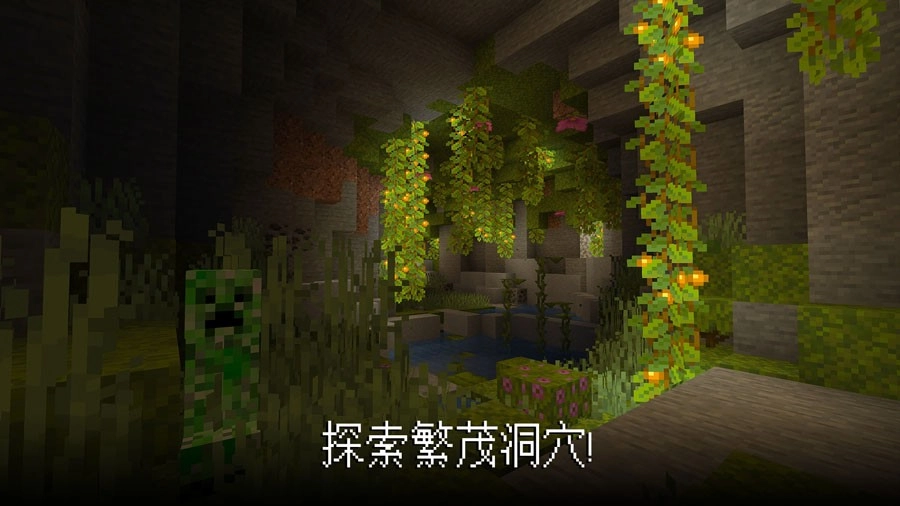 我的世界基岩版(2)