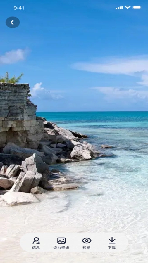 118主题壁纸手机版1