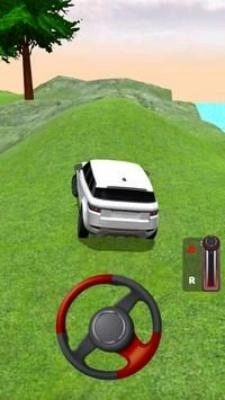 真实汽车驾驶3D最新版图2