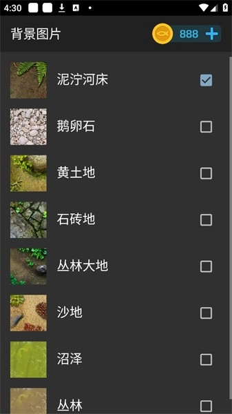 鱼池动态壁纸官方正版图1