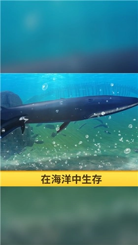 海洋3d蓝鲸模拟手机版图1