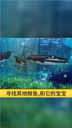 海洋3d蓝鲸模拟手机版图3