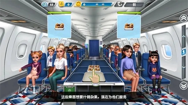 飞机大厨正版(4)