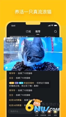 哈啰街猫