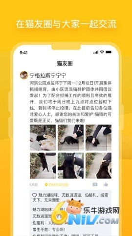 哈啰街猫