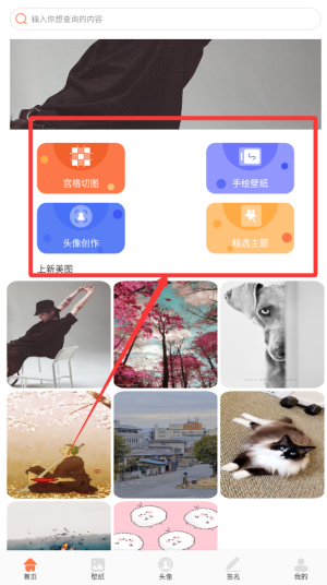 椰蓉壁纸官方版
