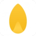 Seed