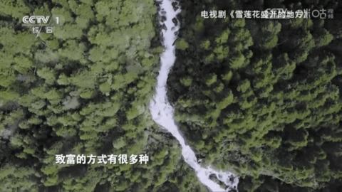 过客tv电视免费版-图2