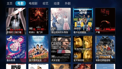 香水猫影院-图1