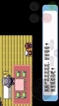 口袋妖怪红宝石中文版图1