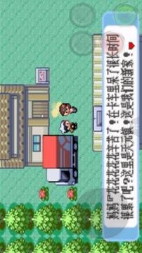 口袋妖怪红宝石中文版图4