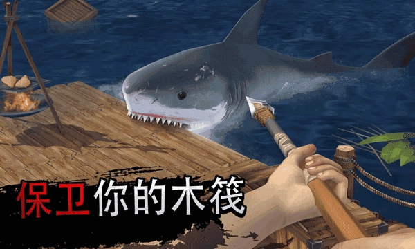 木筏海上生存图3