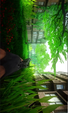 最后的冒险家中文版图1