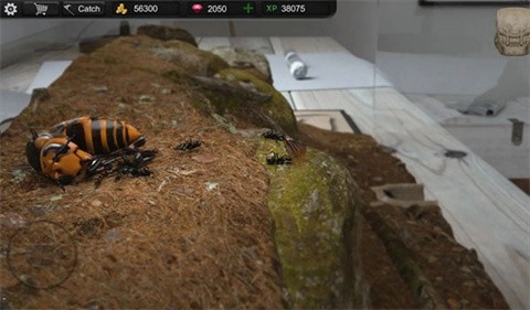 蚂蚁模拟大亨最新版图2