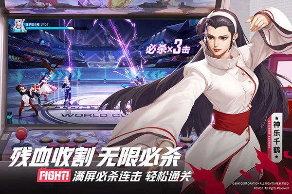 全明星激斗正版(4)