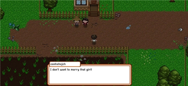 爱情和生活模拟rpg(6)