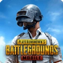 pubg地铁逃生免费版 V2.4.0