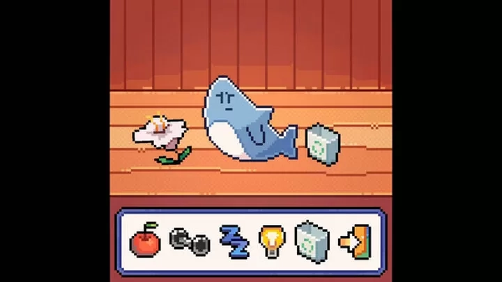 我的可爱小鲨鱼图3